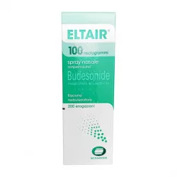 Будостер спрей полный аналог Италия Eltair спрей 100мкг фл. 200доз фото